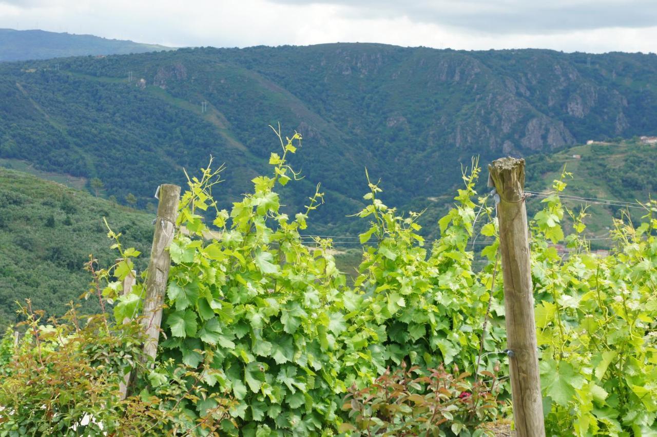 O Forno Casa Ferrador Ribeira Sacra Apartment Sober ภายนอก รูปภาพ