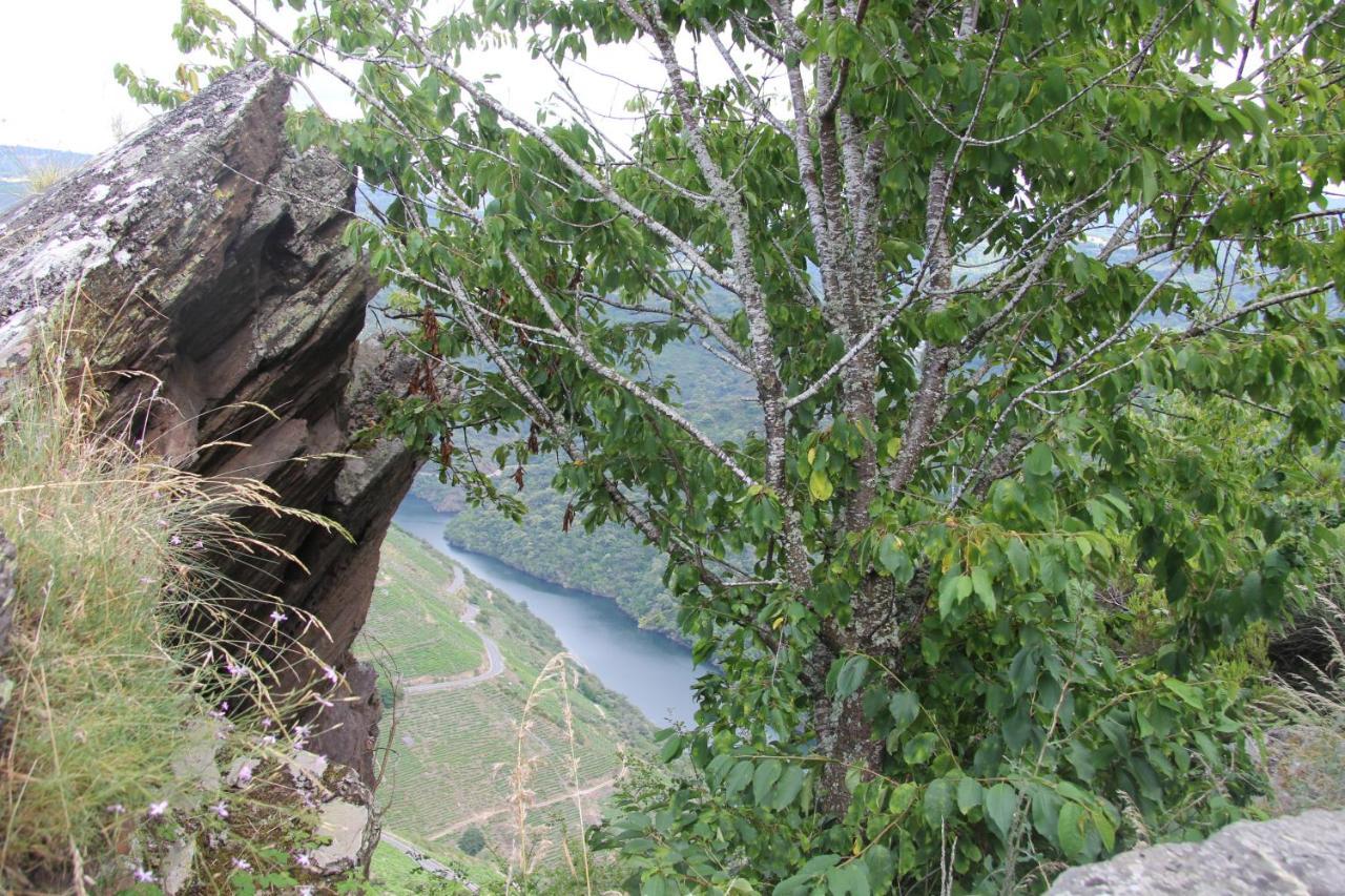 O Forno Casa Ferrador Ribeira Sacra Apartment Sober ภายนอก รูปภาพ